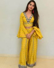 Actress Preethi Asrani At Pressure Cooker First Look Launch Pictures 12