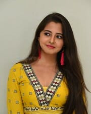 Actress Preethi Asrani At Pressure Cooker First Look Launch Pictures 14