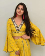 Actress Preethi Asrani At Pressure Cooker First Look Launch Pictures 15