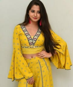 Actress Preethi Asrani At Pressure Cooker First Look Launch Pictures 16