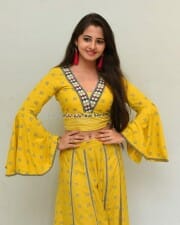 Actress Preethi Asrani At Pressure Cooker First Look Launch Pictures 17