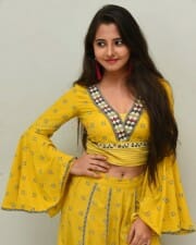 Actress Preethi Asrani At Pressure Cooker First Look Launch Pictures 19
