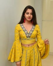 Actress Preethi Asrani At Pressure Cooker First Look Launch Pictures 23