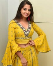 Actress Preethi Asrani At Pressure Cooker First Look Launch Pictures 30