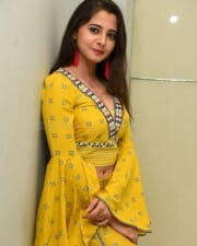 Actress Preethi Asrani At Pressure Cooker First Look Launch Pictures 34