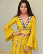 Actress Preethi Asrani At Pressure Cooker First Look Launch Pictures 37