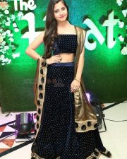 Actress Preethi Asrani Inaugurates The Haat Expo At Taj Krishna Photos 01