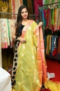 Actress Preethi Asrani Inaugurates The Haat Expo At Taj Krishna Photos 04