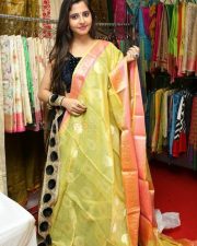 Actress Preethi Asrani Inaugurates The Haat Expo At Taj Krishna Photos 04