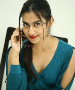 Actress Shyfa at Karan Arjun Movie Press Meet Pictures 26