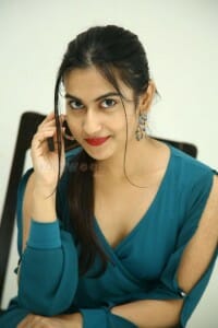 Actress Shyfa at Karan Arjun Movie Press Meet Pictures 26