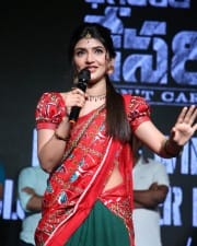 Actress Sreeleela at Bhagavanth Kesari Blockbuster Dawath Celebrations Photos 10