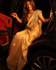 Breathtaking Sreeleela in a Golden Beige Mirror Work Saree with Matching Blouse Photos 02