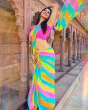 Colourful Beauty Eshanya Maheshwari Sexy Navel Saree Photos 01