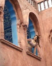 Glamorous Actress Neha Malik in a Bronze Embellished Lehenga With Sheer Sleeves Photos 03