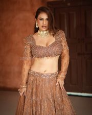 Gorgeous Neha Malik in a Brown Embellished Lehenga with a Deep V Neck Blouse and Full Flared Skirt Photos 02