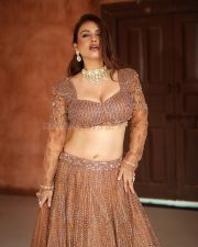 Gorgeous Neha Malik in a Brown Embellished Lehenga with a Deep V Neck Blouse and Full Flared Skirt Photos 03