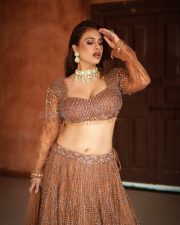 Gorgeous Neha Malik in a Brown Embellished Lehenga with a Deep V Neck Blouse and Full Flared Skirt Photos 05 Gorgeous Neha Malik in a Brown Embellished Lehenga with a Deep V Neck Blouse and Full Flared Skirt Photos 05