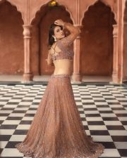 Gorgeous Neha Malik in a Brown Embellished Lehenga with a Deep V Neck Blouse and Full Flared Skirt Photos 10 Gorgeous Neha Malik in a Brown Embellished Lehenga with a Deep V Neck Blouse and Full Flared Skirt Photos 10