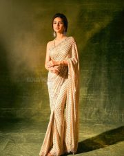 Gorgeous Sreeleela in a Golden Embellished Saree Pictures 03