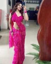Hot Eshanya Maheshwari Navel in a Pink Saree Pictures 02