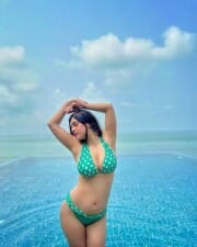 Hot Neha Malik Beach Bikini Photos 03