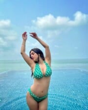 Hot Neha Malik Beach Bikini Photos 07