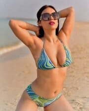 Hot Neha Malik Beach Bikini Pictures 03
