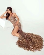 Miss Diva Universe 2021 Harnaaz Sandhu Photo 01