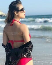 Model Neha Malik Hot Photos 22