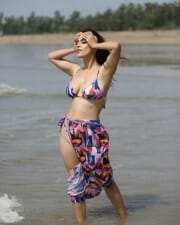 Neha Malik Hot Bikini at the Beach 01