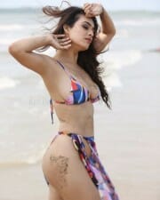 Neha Malik Sexy Hot Bikini Photos 02