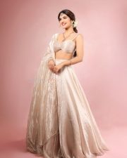 Parasakthi Heroine Sreeleela in a Beige Lehenga with a Spaghetti Strap Crop Top and Flared Skirt Photos 01