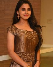 Preethi Asrani At Pressure Cooker Movie Pre Release Event Photos 06