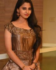 Preethi Asrani At Pressure Cooker Movie Pre Release Event Photos 07