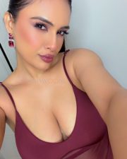 Provocative Neha Malik Cleavage in a Burgundy Sheer Bodycon Dress Photos 02