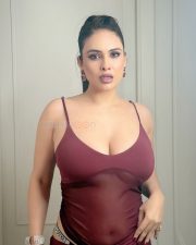 Provocative Neha Malik Cleavage in a Burgundy Sheer Bodycon Dress Photos 03