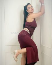 Provocative Neha Malik Cleavage in a Burgundy Sheer Bodycon Dress Photos 09