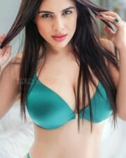 Provocative Neha Malik in Lingerie Pictures 01