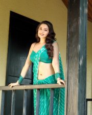 Radiant Actress Eshaanya Maheshwari in a Teal Striped Saree Photos 02