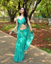 Radiant Actress Eshaanya Maheshwari in a Teal Striped Saree Photos 03