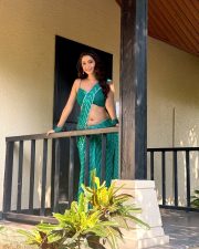 Radiant Actress Eshaanya Maheshwari in a Teal Striped Saree Photos 04 Radiant Actress Eshaanya Maheshwari in a Teal Striped Saree Photos 04