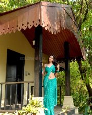 Radiant Actress Eshaanya Maheshwari in a Teal Striped Saree Photos 05 Radiant Actress Eshaanya Maheshwari in a Teal Striped Saree Photos 05