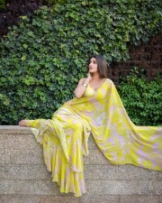 Radiant Sreeleela in a Floral Yellow Saree Photoshoot Pictures 03