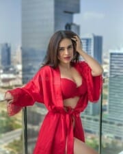 Red Hot Neha Malik Lingerie Pictures 02