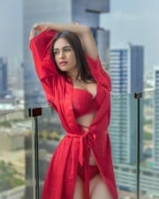 Red Hot Neha Malik Lingerie Pictures 04
