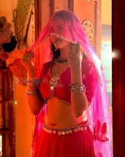 Seductive Actress Eshanya Maheshwari in a Pink Crop Top Lehenga Photos 05