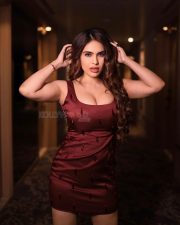 Sensual Neha Malik Cleavage in a maroon mini dress Photos 03