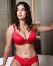 Sensuous Neha Malik in Red Lingerie Photos 03