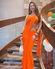 Sexy Eshanya Maheshwari in an India Themed Saree Photos 01